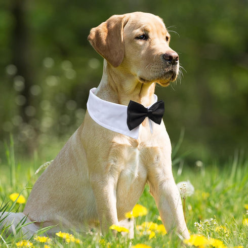 Bow Tie for Dogs, KOOLMOX Dog Bow Tie, Handcrafted Black Dog Bowtie with 21'' Adjustable Dog Collar Tux White Dog Collar for Large Dogs Wedding At...