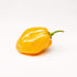 Akabanga Extra Hot Chilli Sauce (spicy) 100 ml / 3.38 oz...