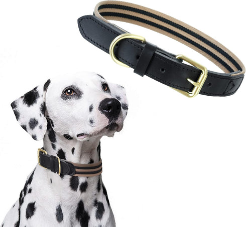 Mile High Life | Genuine Leather Dog Collar | Heavy Duty Canvas Dog Collars with Adjustable Rust-Proof Metal Pin Buckle | Boy Dog Collars for Larg...