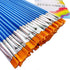 60 Pcs Paint Brushes for Kids/Students/Teens/Beginners, Watercolor/Oil/Acrylic Paint Brush Set for Art Class Painting, Plastic Handle Small Paintb...