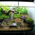 PINVNBY Turtle Basking Platform,Tortoise Resin Dock Resting Rock Reptile Habitat Ornament Hiding Cave Floating Ledge Aquarium Decoration for Beard...