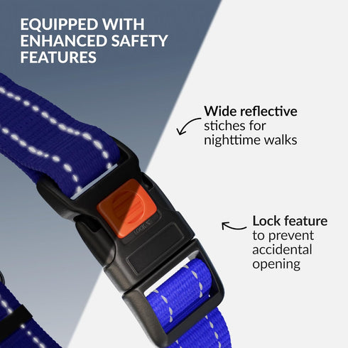 CollarDirect Martingale Dog Collar with Stainless Steel Chain and Quick Release Buckle - Reflective Collar for Large, Medium, Small Dogs - Blue, S...