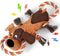 Squeaky Dog Toys, Tug of War Dog Toy for Large Dogs, Plush Puppy Toys with Pull Rope, Interactive Dog Toys for Small, Middle, and Big Dogs...