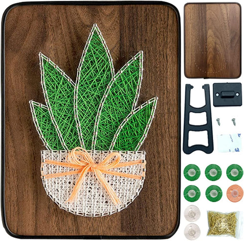 BAZIMA DIY String Art Kit for Beginner,DIY Aloe Potted Craft Kit,Unique Gift,Craft Kit for Holidays...