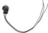 Dorman 645-907 Front Park and Turn Signal Socket Compatible with Select Chevrolet/Oldsmobile/Pontiac Models...