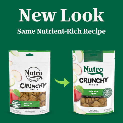 NUTRO Crunchy Dog Treats with Real Apple, 10 oz. Bag...