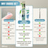 Gum Stimulator/Massager and All Natural Gum Gel - VeriFresh - Gum Care Kit for Healthy Gums...