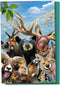 Tree-Free Greetings EcoNotes 12 Count Rocky Mountain Selfie All Occasion Notecard Set with Envelopes, 4 x 6 Inches (FS56909)...