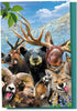 Tree-Free Greetings EcoNotes 12 Count Rocky Mountain Selfie All Occasion Notecard Set with Envelopes, 4 x 6 Inches (FS56909)...