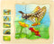 Wooden Puzzles for Kids Ages 4-8, 5 Layers Life Cycle of a Butterfly Montessori Jigsaw Puzzle for Kids, Children Preschool Learning Educational Pu...