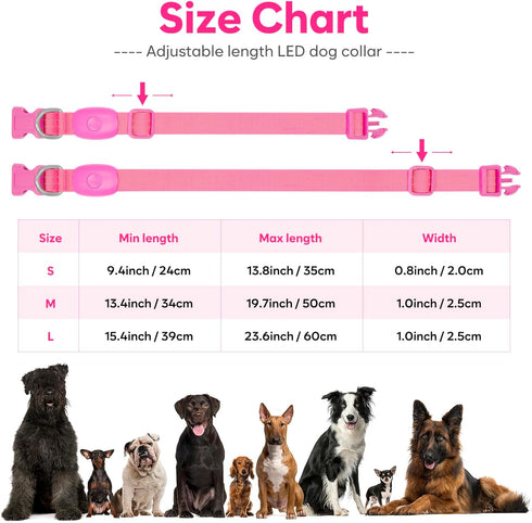 Light Up Dog Collars Rechargeable, Reflective LED Glow Dark Dog Collar for Small Medium Large Dogs, Adjustable Pet Dog Lights for Safe Night Walk-...