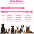 Light Up Dog Collars Rechargeable, Reflective LED Glow Dark Dog Collar for Small Medium Large Dogs, Adjustable Pet Dog Lights for Safe Night Walk-...