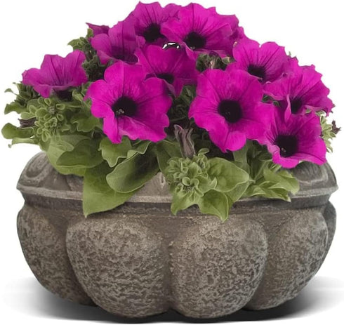 Elly Décor Plastic Cantera Planter 10x5 in. Pot Cantera Design Decorative for Indoor and Outdoors Plants Round Flower Pot White cantera...