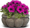 Elly Décor Plastic Cantera Planter 10x5 in. Pot Cantera Design Decorative for Indoor and Outdoors Plants Round Flower Pot White cantera...
