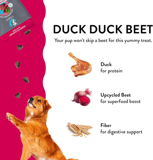 Shameless Pets Soft-Baked Dog Treats, Duck Duck Beet - Natural & Healthy Dog Chews for Digestive Support with Fiber - Dog Biscuits Baked & Made in...