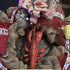 Fun Express Plastic Lobster Luau and Seaside Party Decor Accents - Red (1 Piece)...