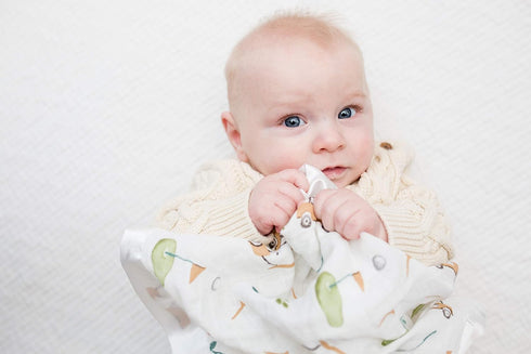 lulujo Baby Security Lovie Blankets| Unisex Softest Breathable Cotton Muslin Security Blanket with Silky Satin Trim| Neutral Comforting Blanket fo...