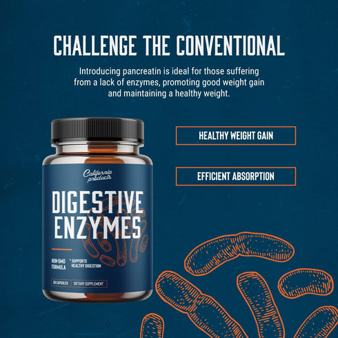 Gut Health Digestive Enzyme Supplements - Pure Digestive Enzymes for Digestion Constipation Relief - Pancreatin Digestive Enzymes for Digestive He...