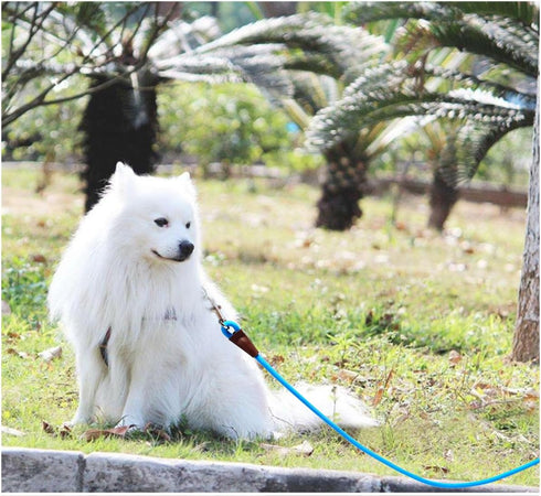 Tie Out Rope Dog Leash, 8/10/ 15/20/ 30FT Heavy Duty Nylon Check Cord for Medium Large Dogs Indoor/Outdoor Playing Camping Backyard (3/8" x 15ft, ...