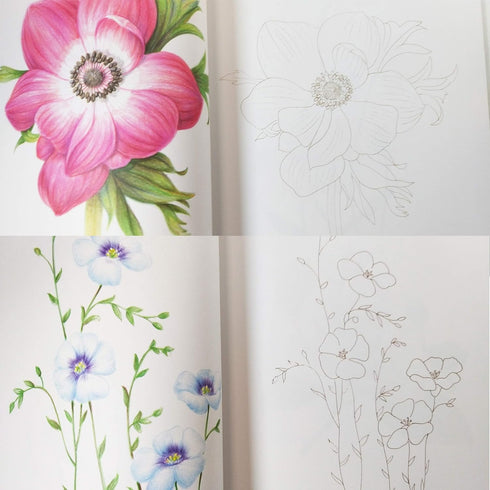 ICONBOOKS Botanical Art Coloring Book - Flower- Easy to Follow Anyone Coloring Book for Adults Relaxation...