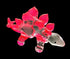 Garden Deco Glow in The Dark Pink Stegosaurus Hand Blown Art Glass Figurine Ornament Sculpture...