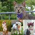 25 Pieces Patriotic Dog Bowties with 5 Kinds of Designs US Independence Day Cat Neckties Adjustable Dog Collar Accessories for Small Medium Pets...