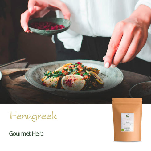 Fenugreek Seed Organic Quality Seeds - Culinairy Grade - Real Trigonella Foenum-graecum - Fenegreek Fenugreek Organic Fenugrec Seed Funegreek Seed...