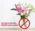 Soil Moisture Meter, Soil Tester Plant Moisture Meter for House Plants, Plant Water Meter Hydrometer Plant Sensor for Indoor Plant Care, No Batter...