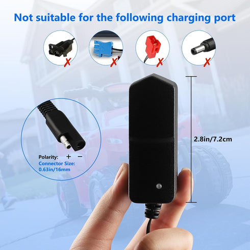 SAE Connector Charger for Kids Ride On Car Battery, BXIZXD 6 Volt Battery Charger for Disney Quad Pacific Cycle Marvel The Avenger Good Dinosaur P...