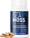 Organic Irish Sea Moss 6000mg - 2000mg Black Seed Oil Ashwagandha Burdock Root Ginger Capsules - Advanced Seamoss Vitamin Multi Mineral Complex Su...