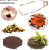 Haofy Tea Strainer, Stainless Steel Tea Filter, Twisting Snap Ball Infuser for Brewing Loose Leaf Tea Mulling Spices Seasonings with Long Handle, ...