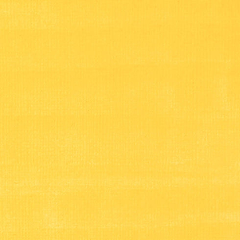 Liquitex Professional Fine Paint Marker, 8mm, Yellow Medium Azo...