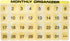 31 compartments, 1 per Day, 4 Week Monthly Pill Organizer by Promed. Includes Tray and 8 Removable compartments. (Yellow)...