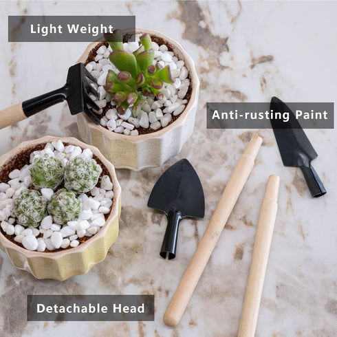 Set of 3pcs Gardening Tools for Small Plants Succulents Pots Flower Cactus - Bonsai Tool Kit Gift for Kids and Adults...