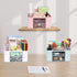Plastic Pen Organizer, Multifunctional Desk Organizer with 2 Drawers, 4 Compartments & a Top Tray, Pencil Holder Desktop Organizers and Accessorie...
