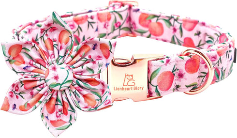 Lionheart glory Dog Collar with Flower Pink Peach Dog Collar Girl Soft Durable Adjustable Collar Flower Spring Collar Dog Bow for Small dogs...