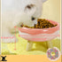 Elevated Cat Bowls, Combined 2 Bowls, Whisker Friendly Bowls for Cat. Sweet Donut Shaped (Pink)...