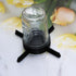 PIAOLGYI Self Watering Adapter for Mason Jars,Accessory Compatible with Self-Watering Microgreen Grower(Black)...