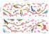 DECOWALL DWL-2009 Garden Birds and Cherry Blossom Wall Stickers Wall Decals Peel and Stick Removable Wall Stickers for Kids Nursery Bedroom Living...