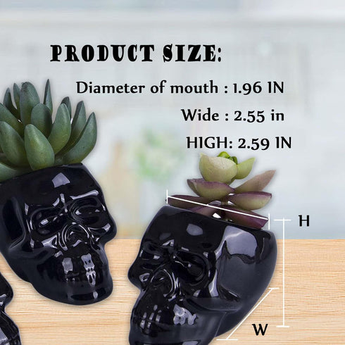 2PCS White and Black Skull Succulent Planter Pots Set, Creative Plant Lover Gifts Cactus Plant Pot Pen Pencil Holder for Home Office Decor (Black ...