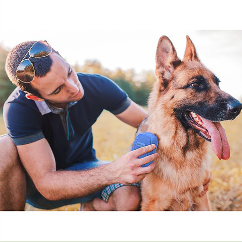 Taeku Dog Bath Brush, Rubber Shampoo Grooming Pet Brush Soft Shedding Bathing Hair Accessories Back Massage Cat Brush for Long Short Fur (Blue)...