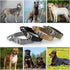 Plutus Pet Tactical Dog Collar, Soft Padded, Adjustable with Heavy Duty Metal Buckle, Military Dog Collar with Control Handle for Medium Large and...
