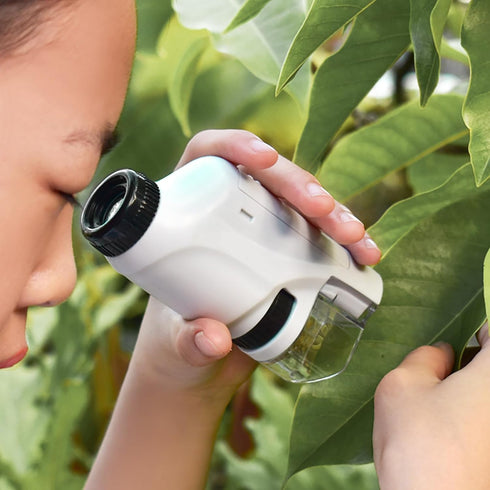 Minilabsters Miniscope Kids, Mini Labsters Portable Microscope, Miniscope Portable Microscope Kids Minilabsters, Pocket Microscope, Handheld Micro...
