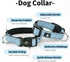 IVY&LANE 2 Pack Reflective Dog Collars and Leashs Set,Adjustable Neoprene Padded Dog Collars for Puppy, Breathable Nylon Pet Collar for Small Medi...