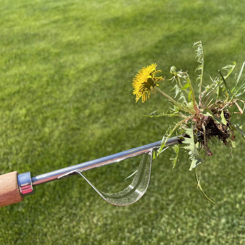 zhuohai Garden Hand Weeder Weeding Tools Gardening Stainless Steel Garden Weeder Tool for Yard Lawn and Farm(Wood Handle)...