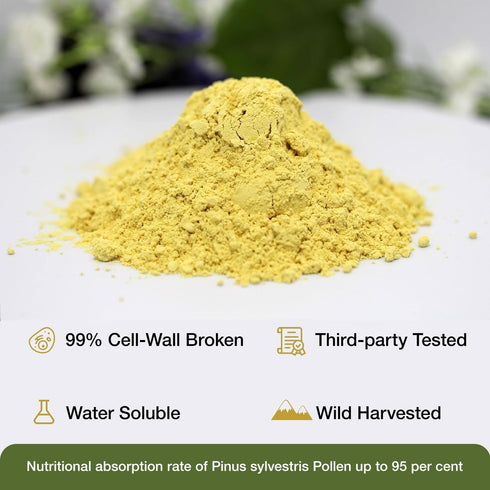 ECO-TASTE Pine Pollen Powder 6 Ounce, Wild Harvested - Pinus Tabuliformis? 99% Cracked Cell Wall...