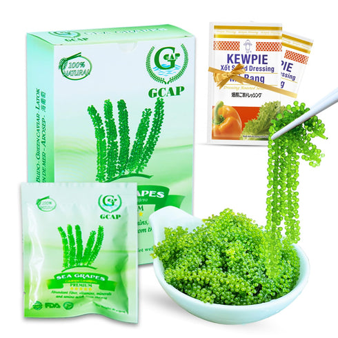 GCAP Sea Grapes – PREMIUM – 4.23 OZ of 6 packs, Dehydrated seaweed, Umibudo, Green Caviar, Lato seaweed - A great superfood for your health, boost...