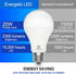 E ENERGETIC LIGHTING 2 Pack 150 Watt LED Light Bulb, Super Bright A21 Warm White 3000K, Non-Dimmable, 2300LM LED Bulb, High Lumen Light Bulbs, E26...
