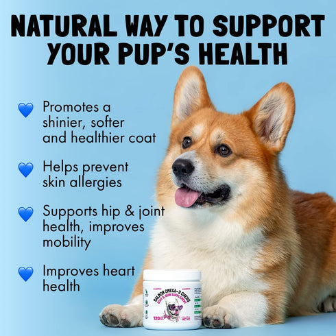 Omega 3 Alaskan Salmon Oil Treats for Dogs 30 Fish Oil Chew Supplement Skin and Coat Allergy and Itch Relief Hip & Joint Health Brain Shedding Hot...