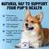 Omega 3 Alaskan Salmon Oil Treats for Dogs 30 Fish Oil Chew Supplement Skin and Coat Allergy and Itch Relief Hip & Joint Health Brain Shedding Hot...